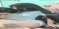 Cewek Cantik Ngasih Jatah Ayang Ngentot Di Kosan