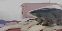 Tante Berbagi Kontol Suami