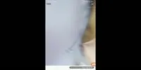 Tkw Dientot Majikan Kontol Besar